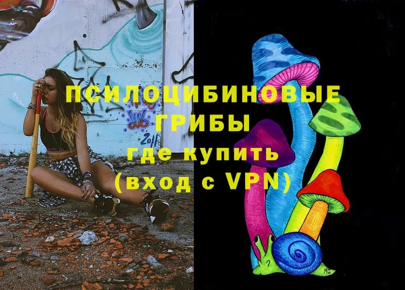 Псилоцибиновые грибы Cubensis  Буинск 